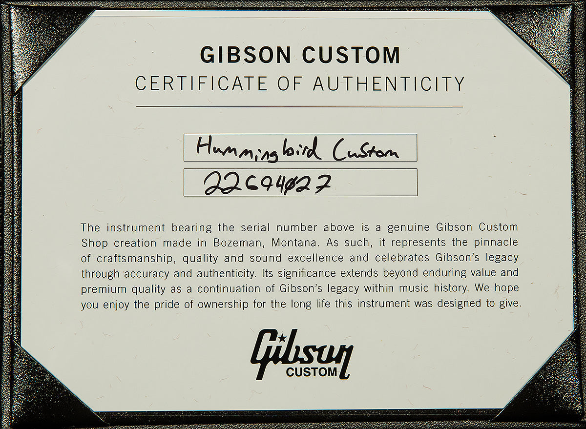 Hummingbird Custom