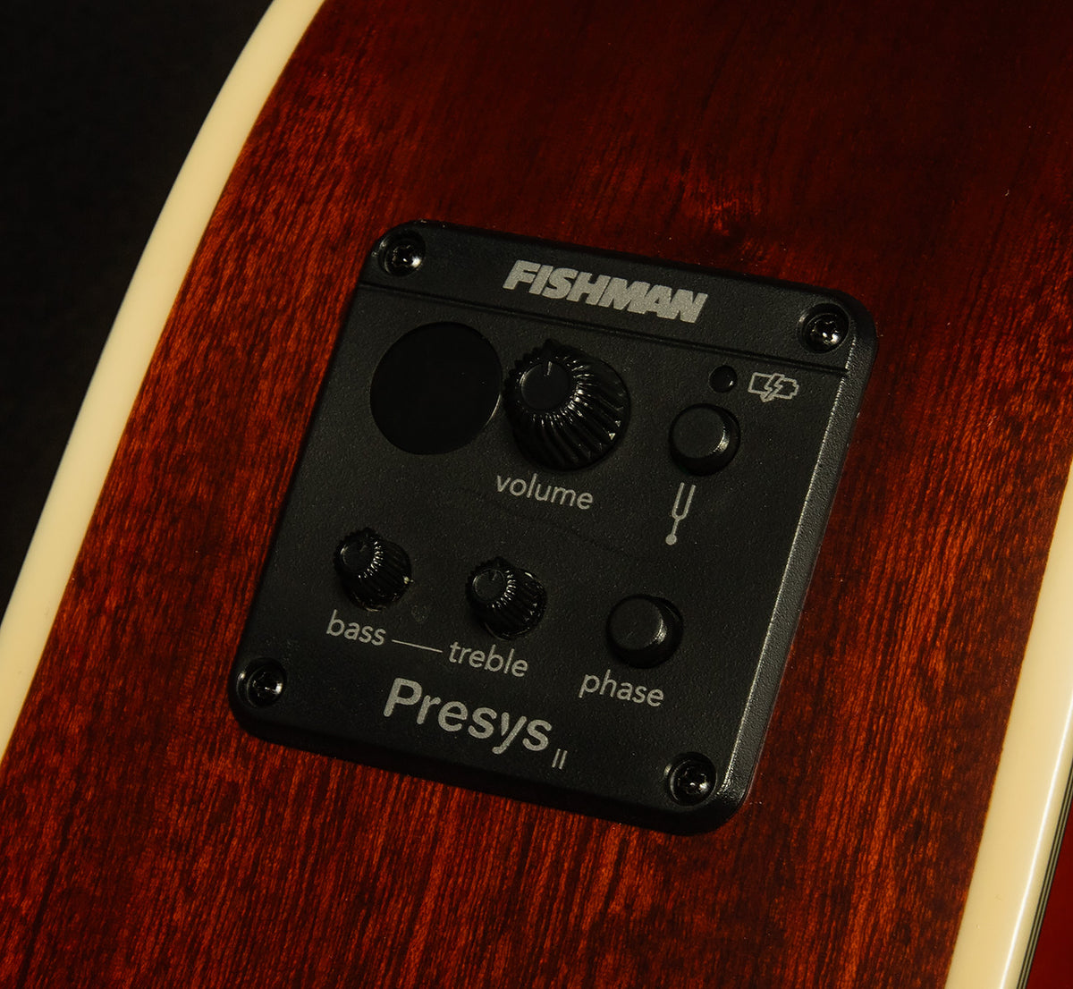 Inspired by Gibson Hummingbird Standard EC