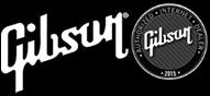 Gibson Acoustic Guitars