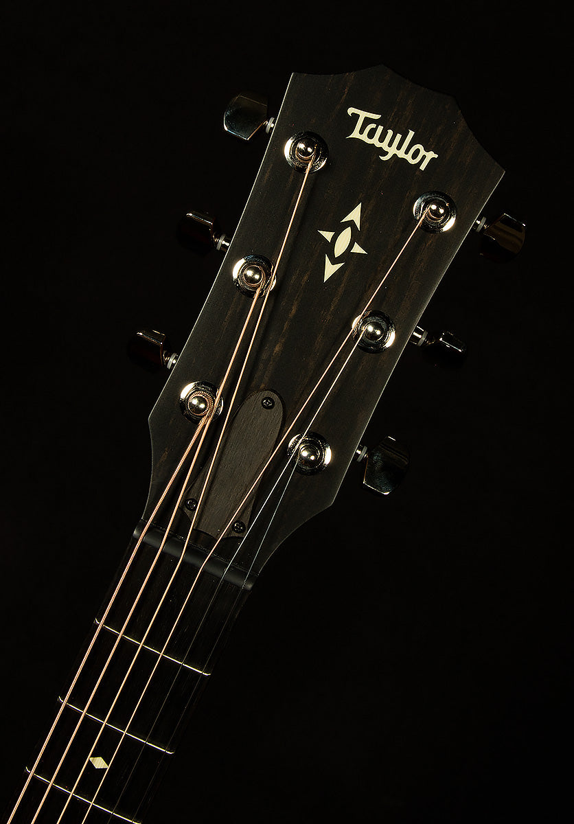 Taylor Grand Pacific Builder's Edition 517e