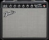 1965 Princeton Reverb