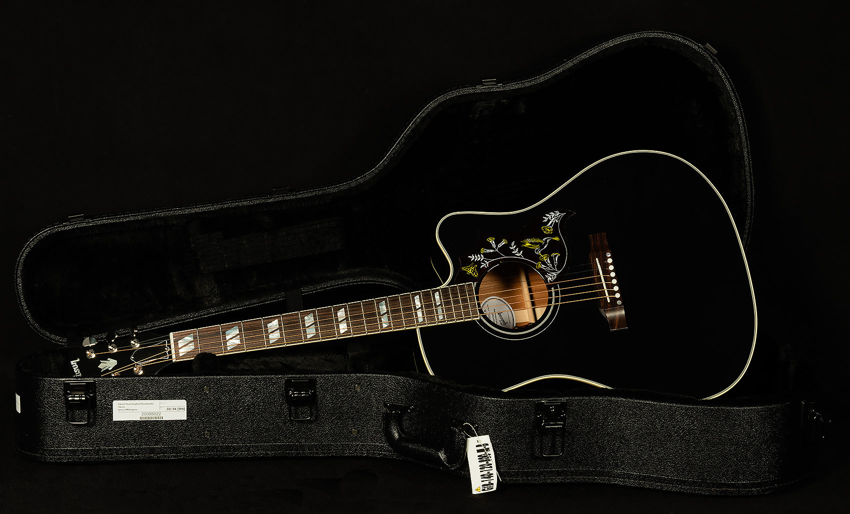 Modern Collection Hummingbird Standard EC