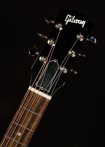 Modern Collection J-45 Standard