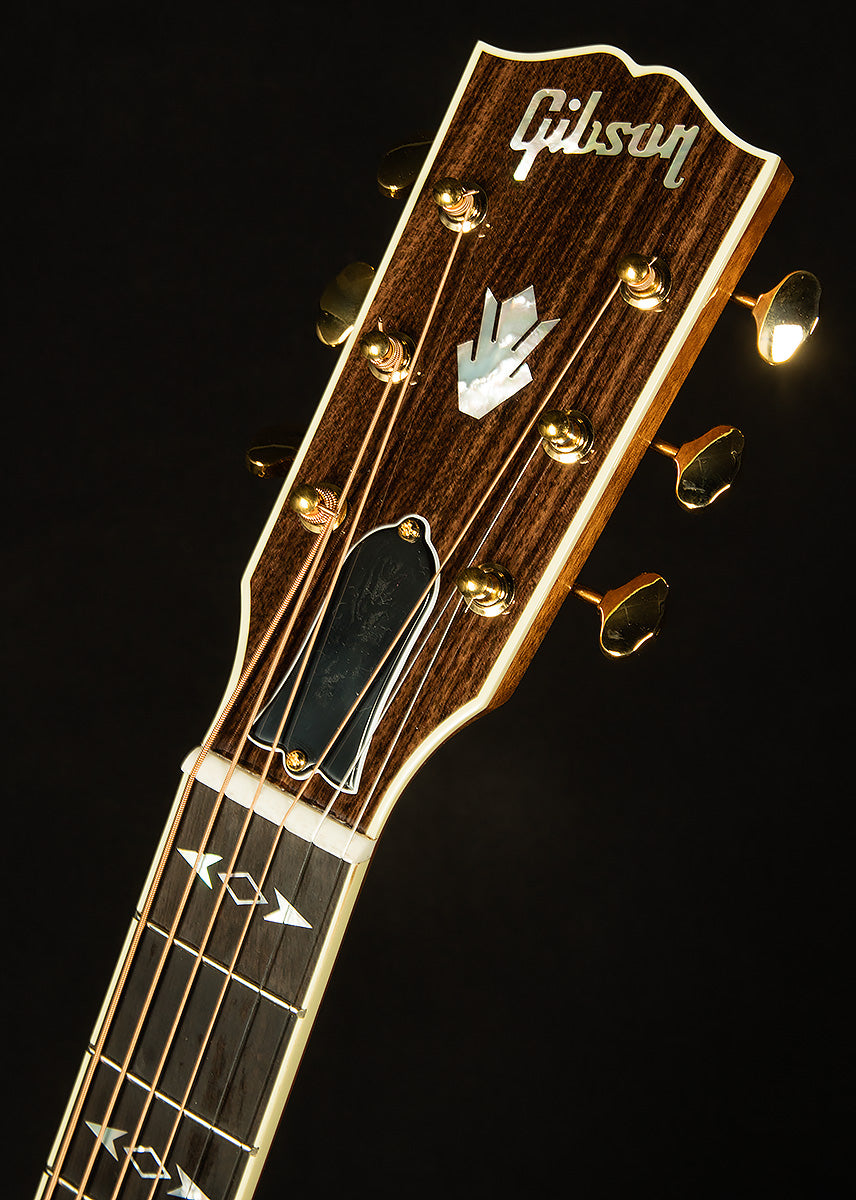 Modern Collection Songwriter Recording Artist EC