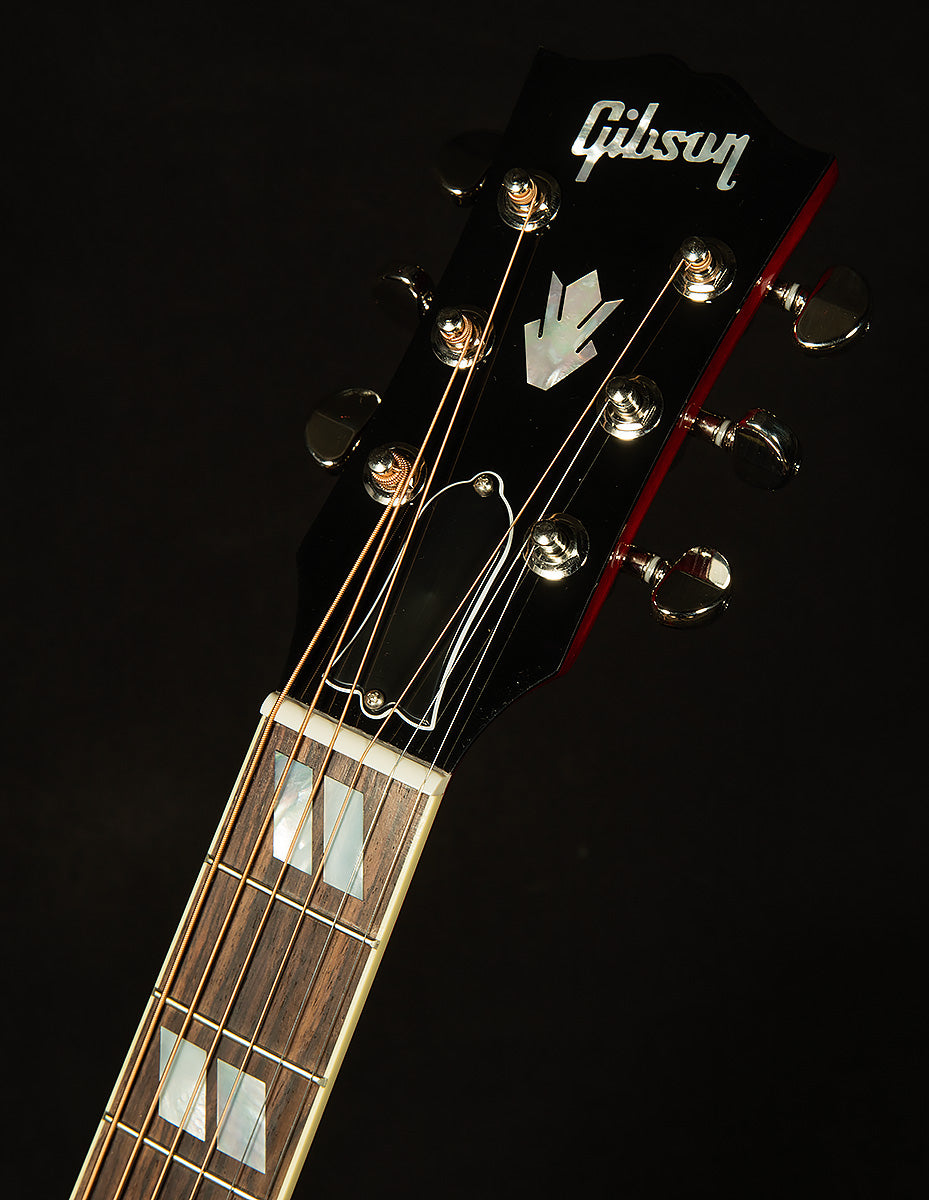 Hummingbird Standard