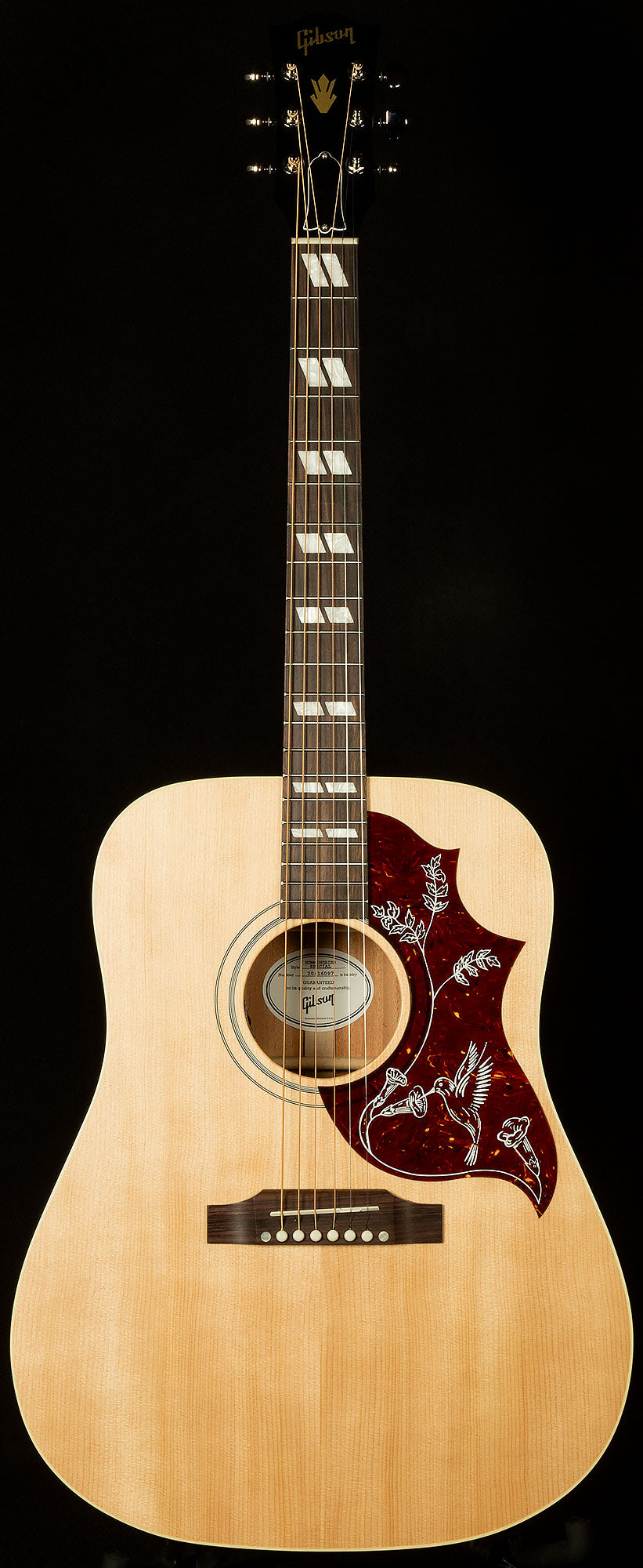 Hummingbird Special