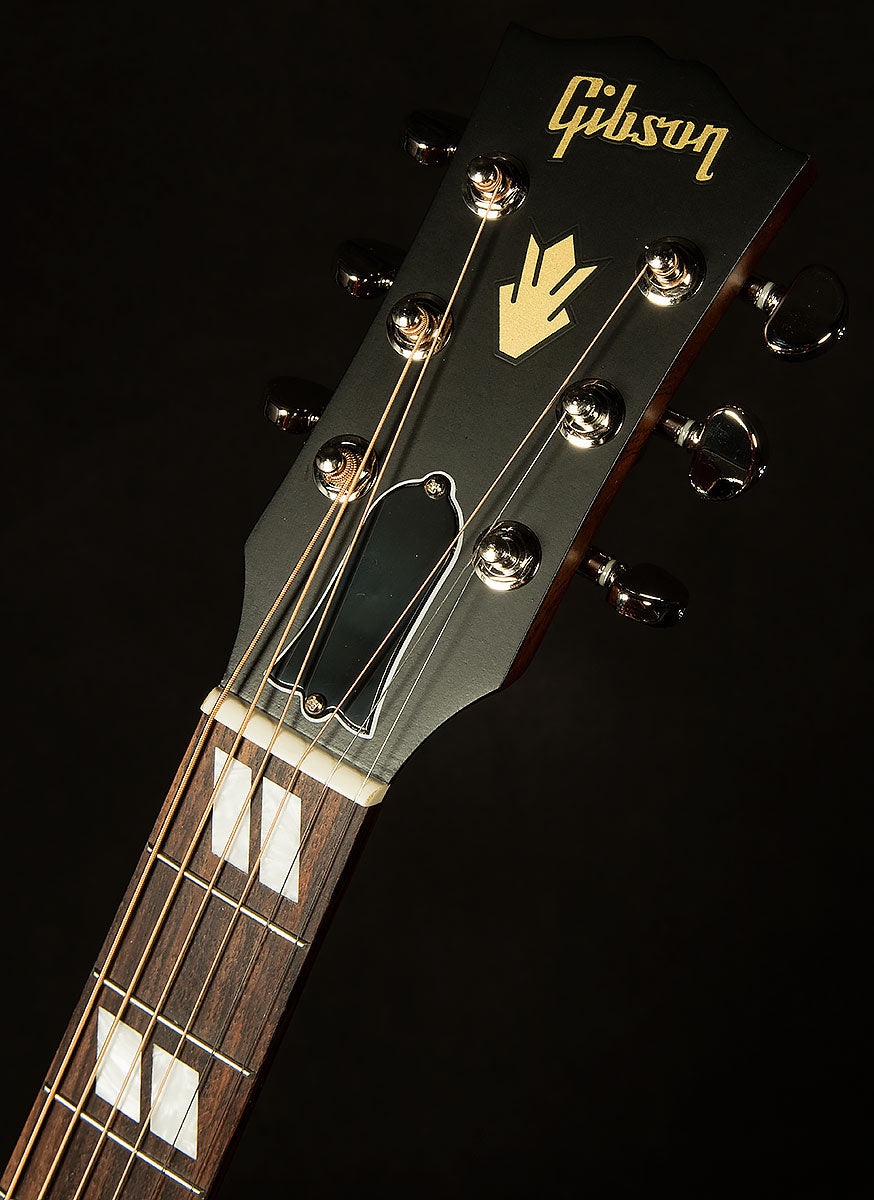 Hummingbird Special