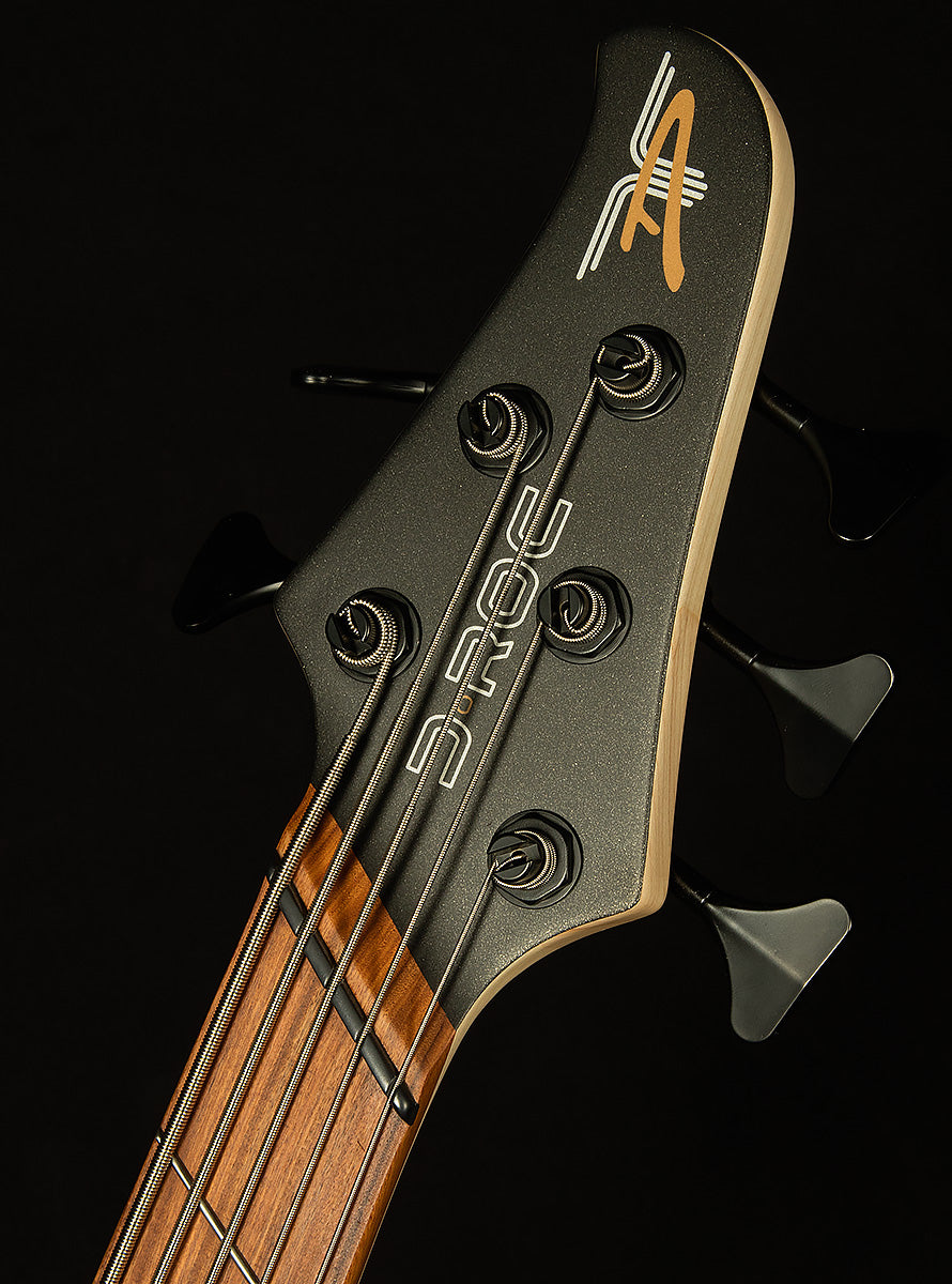 D-Roc Standard 5-String Bass