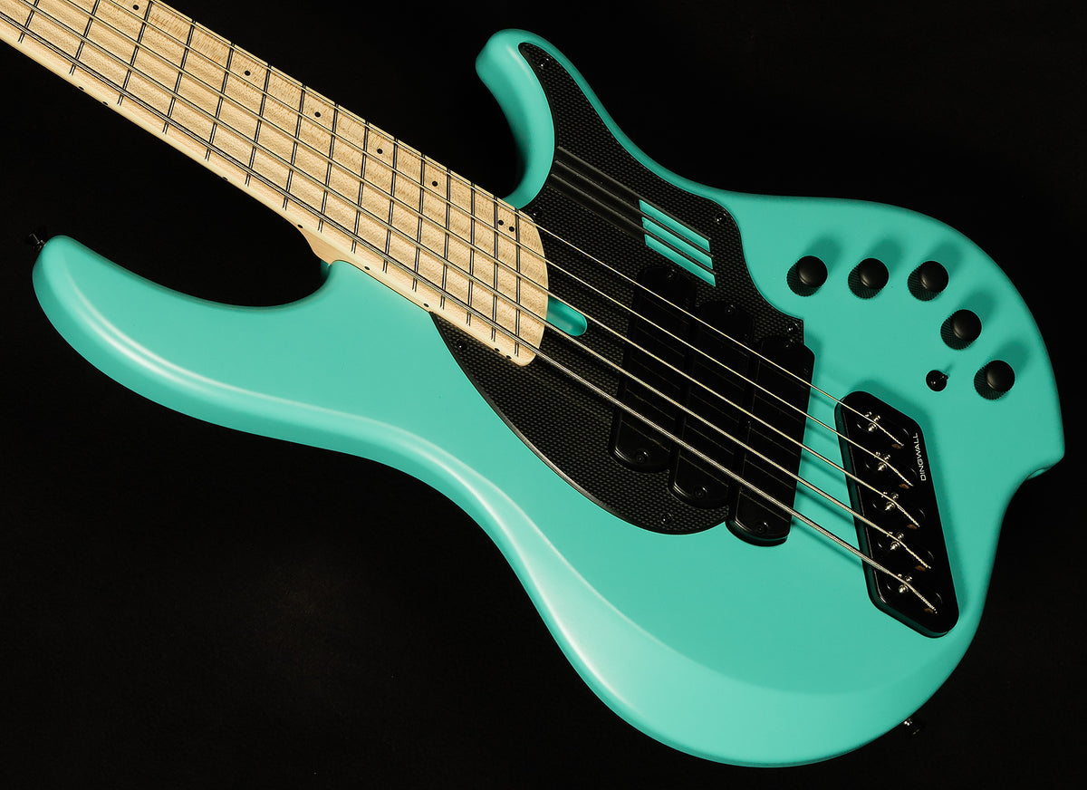 Adam “Nolly” Getgood NG3 Signature Combustion 5-String Bass