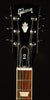 Modern Collection SG Standard