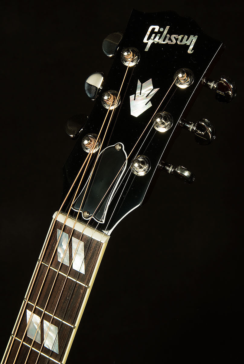 Hummingbird Standard