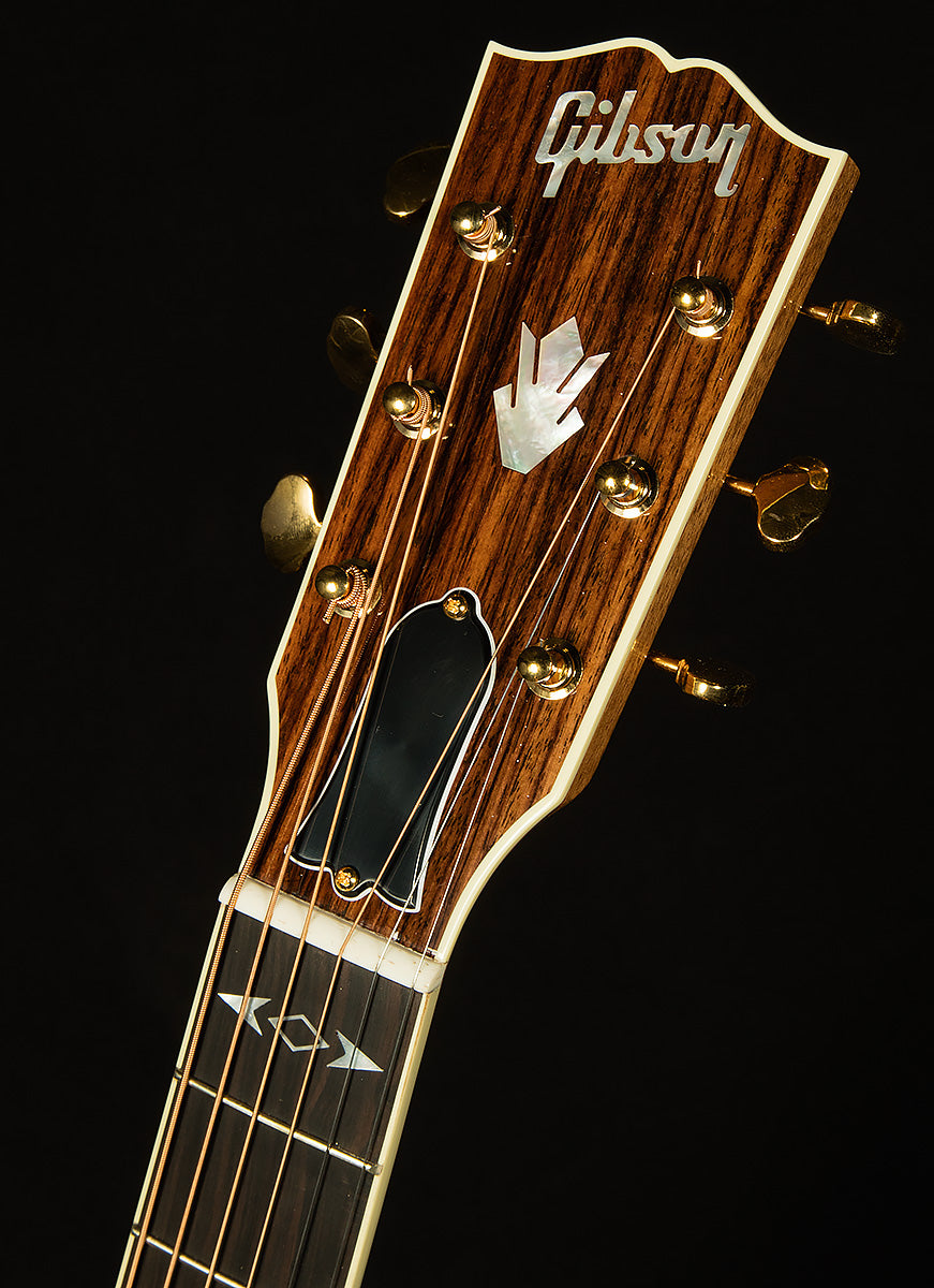 Modern Collection Songwriter Recording Artist with HiFi DNA