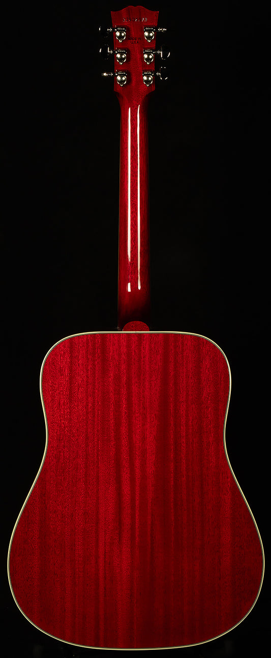 Modern Collection Hummingbird Standard with HiFi DNA