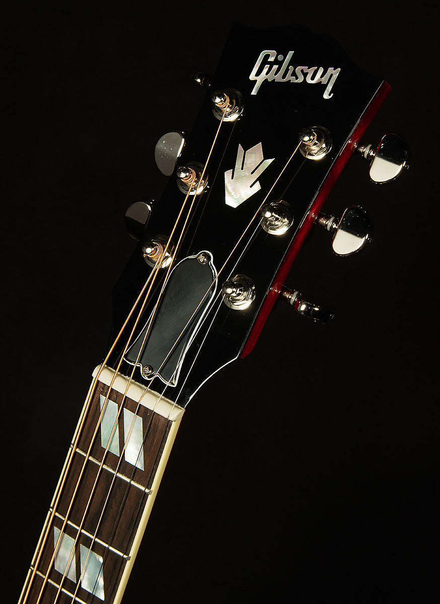 Modern Collection Hummingbird Standard with HiFi DNA