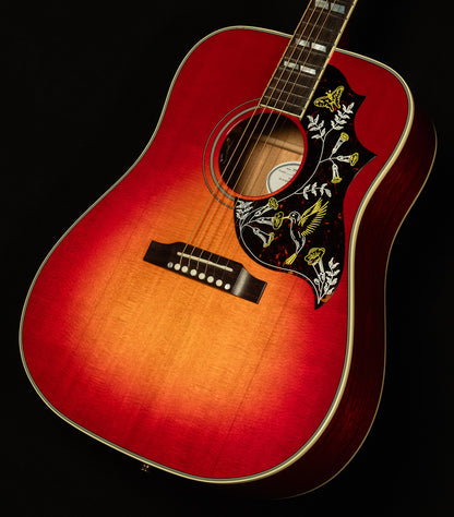 Modern Collection Hummingbird Standard with HiFi DNA