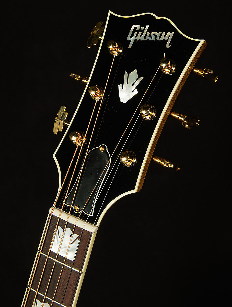 Modern Collection SJ-200 Standard Rosewood with HiFi DNA