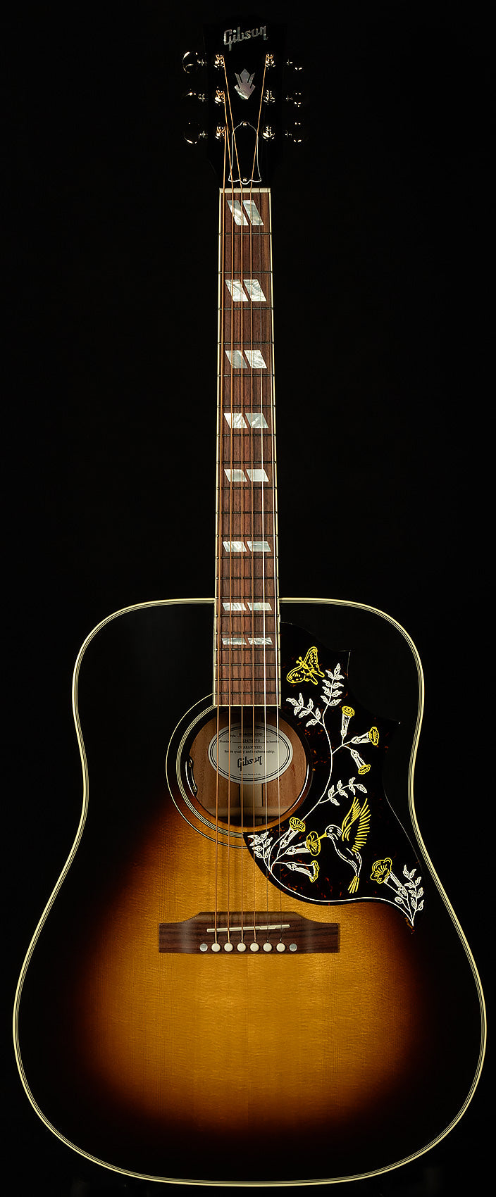 Modern Collection Hummingbird Standard with HiFi DNA