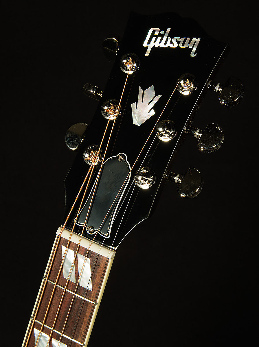Modern Collection Hummingbird Standard with HiFi DNA