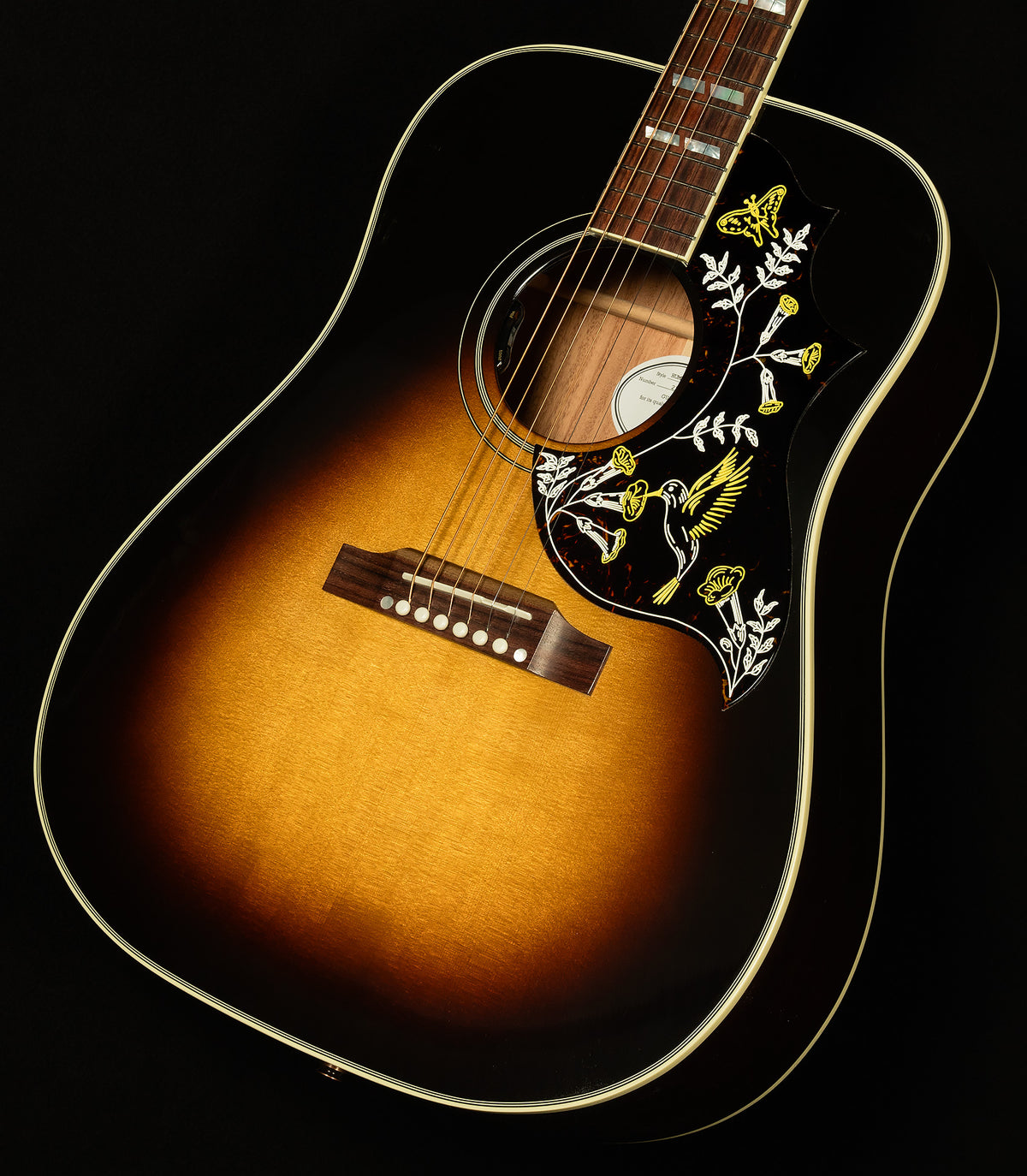 Modern Collection Hummingbird Standard with HiFi DNA