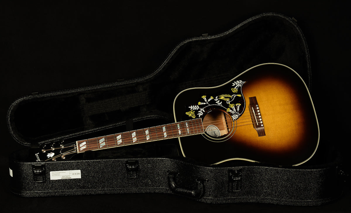 Modern Collection Hummingbird Standard with HiFi DNA
