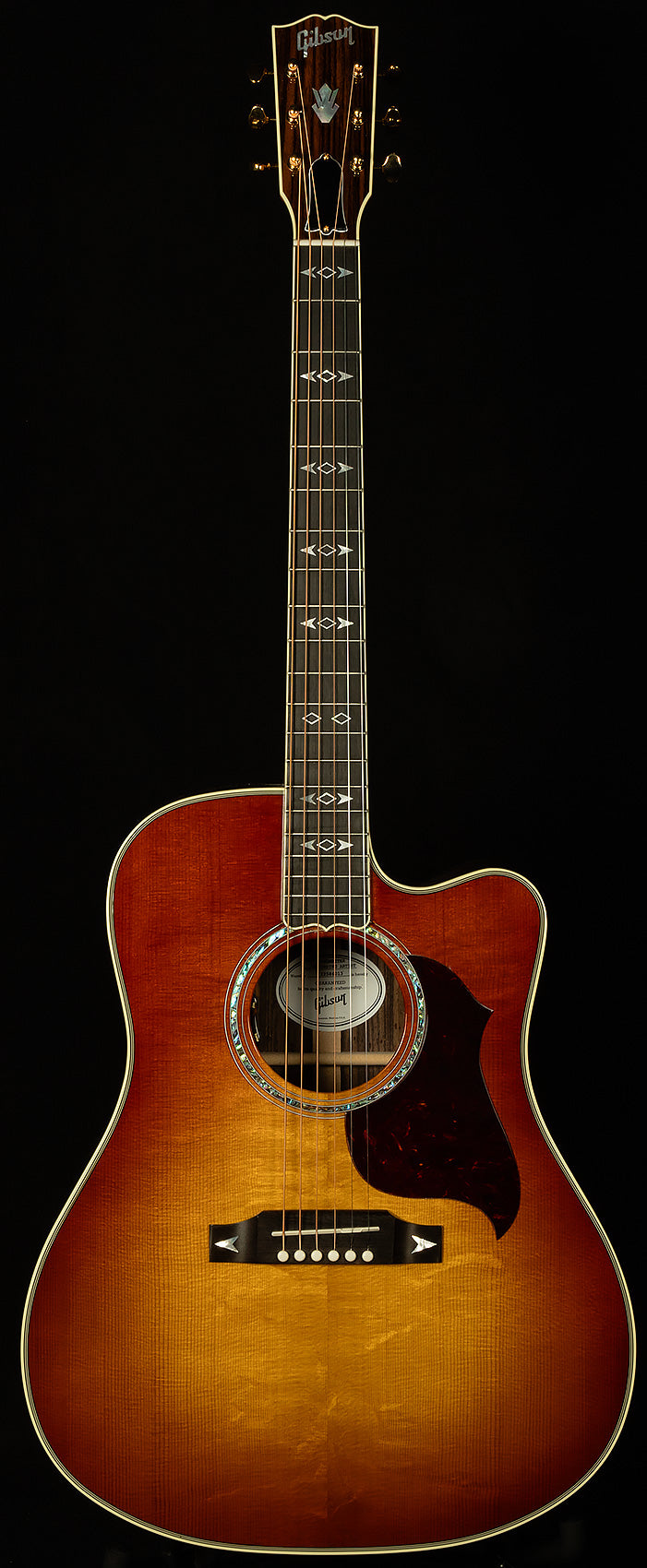 Modern Collection Songwriter Recording Artist EC with HiFi DNA