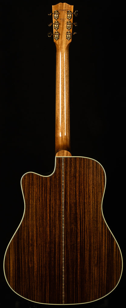 Modern Collection Songwriter Recording Artist EC with HiFi DNA