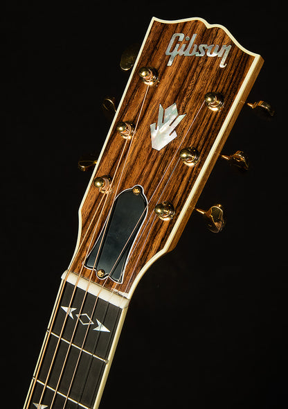 Modern Collection Songwriter Recording Artist EC with HiFi DNA