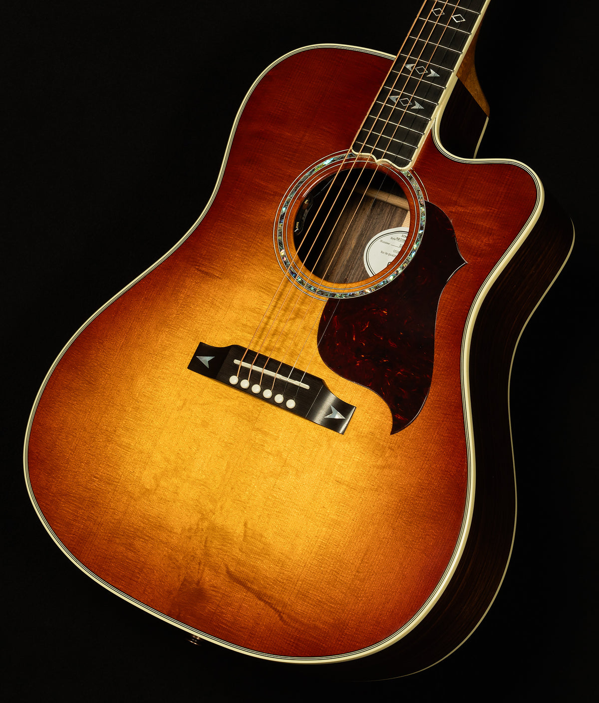 Modern Collection Songwriter Recording Artist EC with HiFi DNA