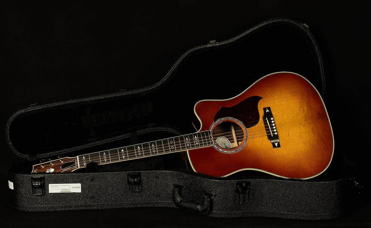 Modern Collection Songwriter Recording Artist EC with HiFi DNA