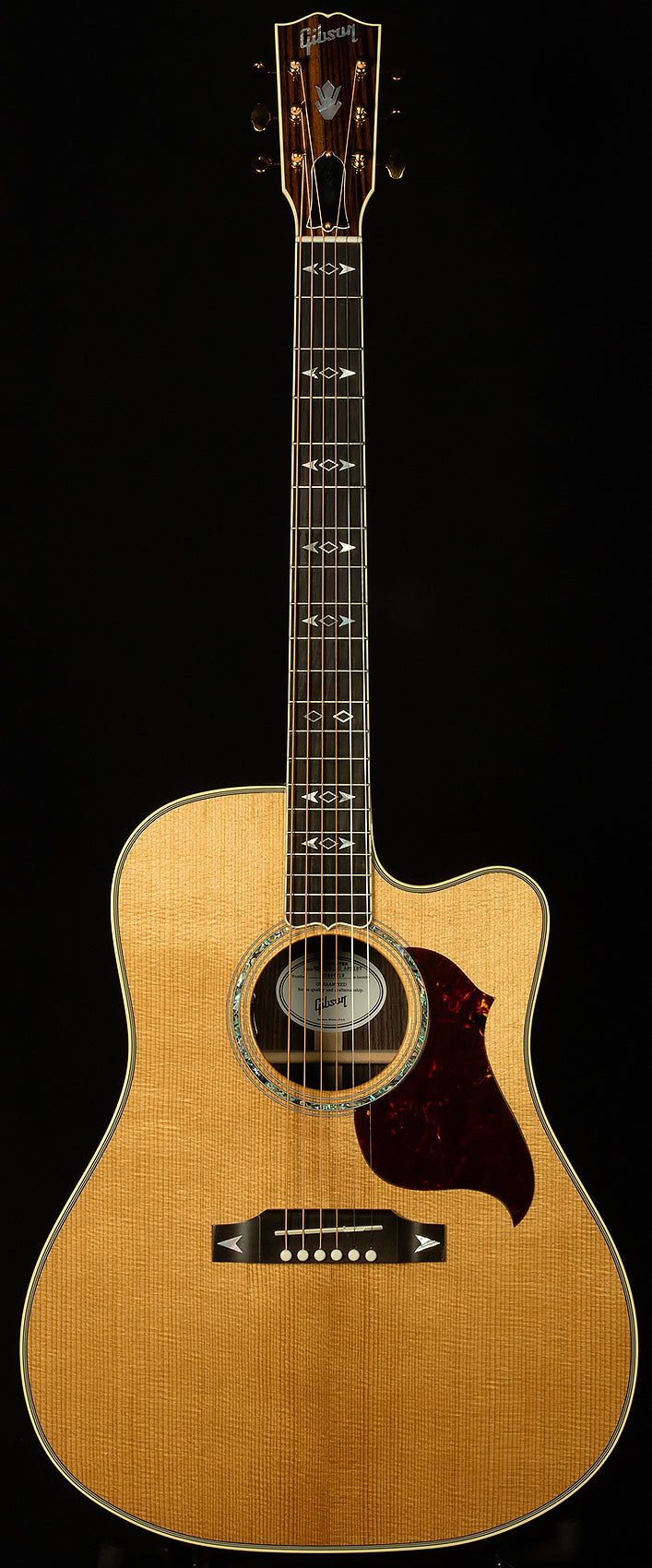 Modern Collection Songwriter Recording Artist EC with HiFi DNA