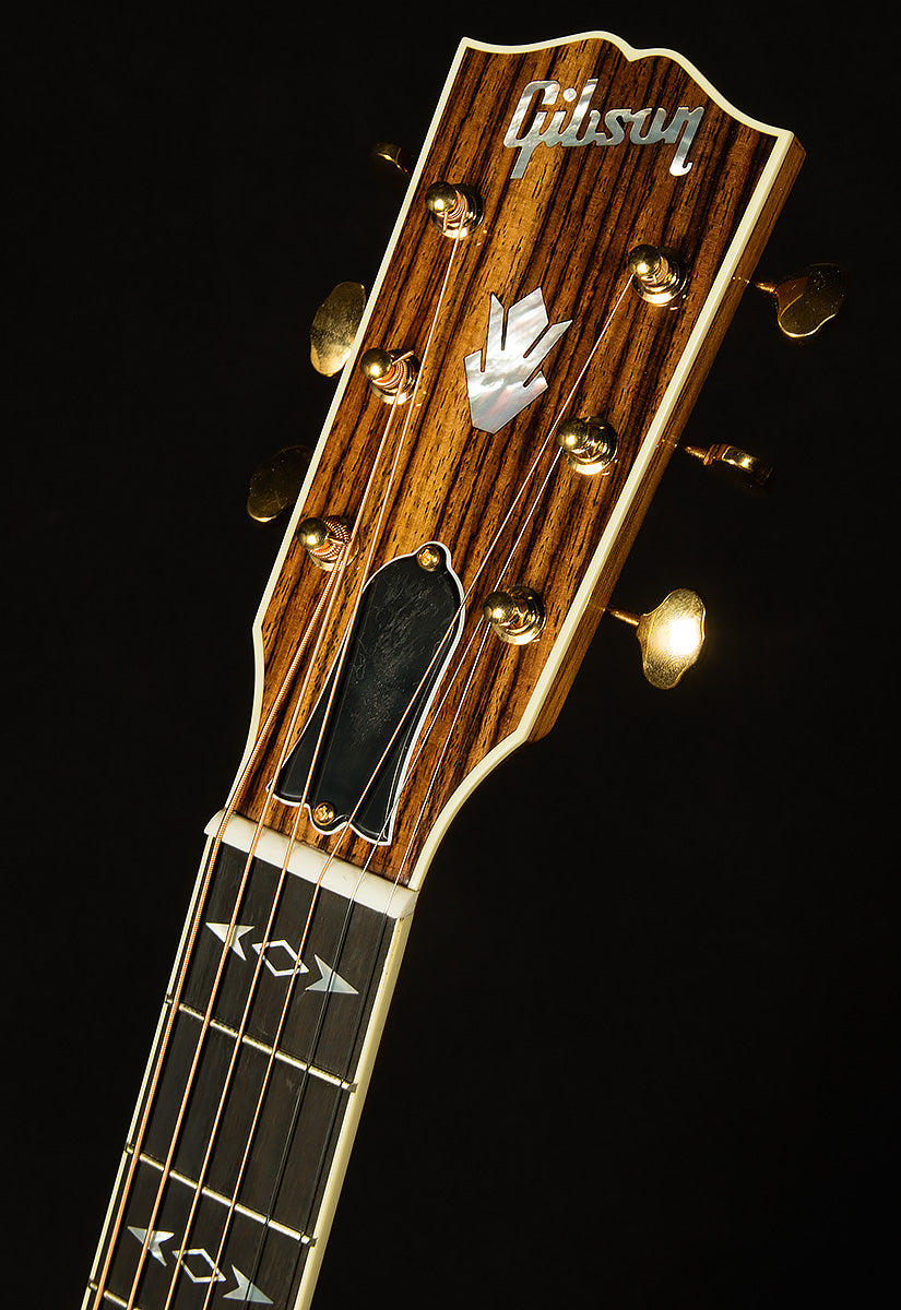 Modern Collection Songwriter Recording Artist EC with HiFi DNA