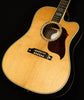 Modern Collection Songwriter Recording Artist EC with HiFi DNA