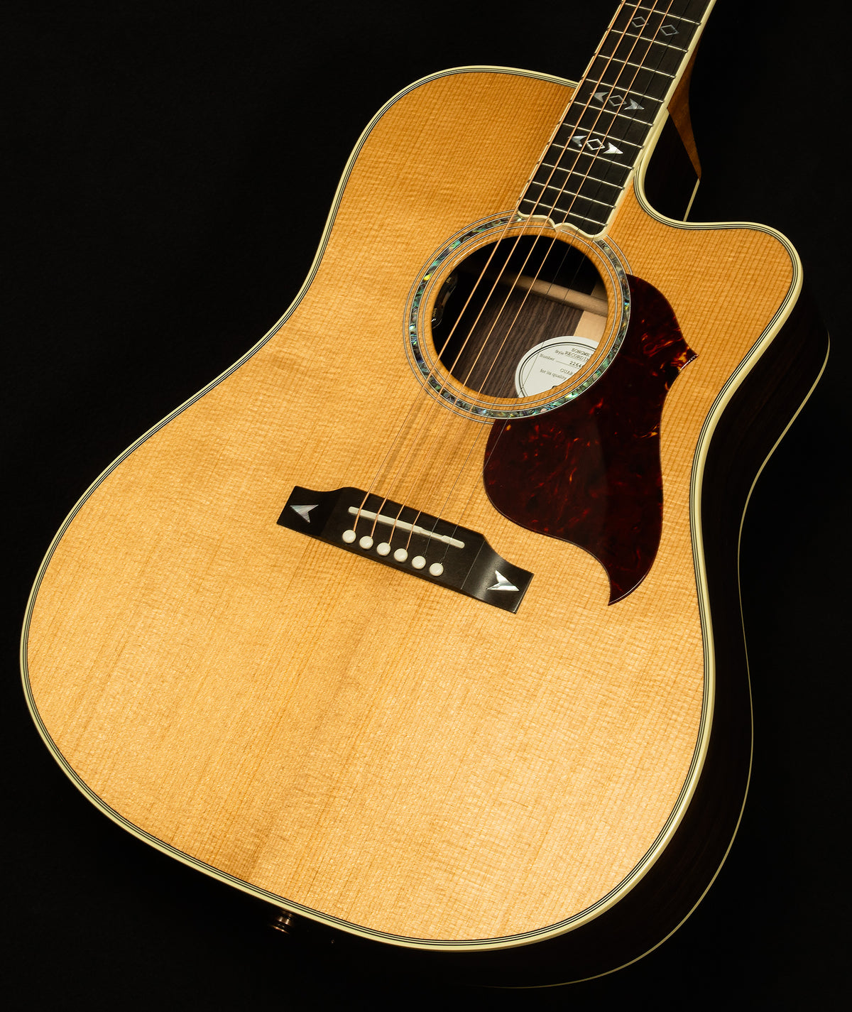 Modern Collection Songwriter Recording Artist EC with HiFi DNA