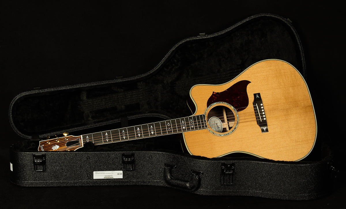Modern Collection Songwriter Recording Artist EC with HiFi DNA