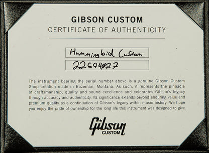 Hummingbird Custom