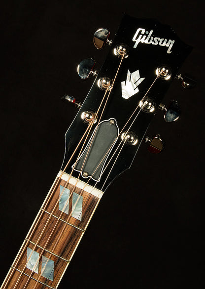 Hummingbird Standard