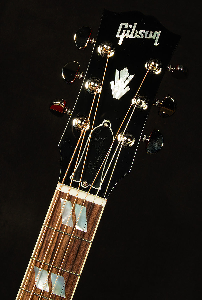 Hummingbird Standard