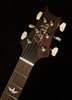 Wildwood Wood Library Paul's Guitar - Brazilian Rosewood