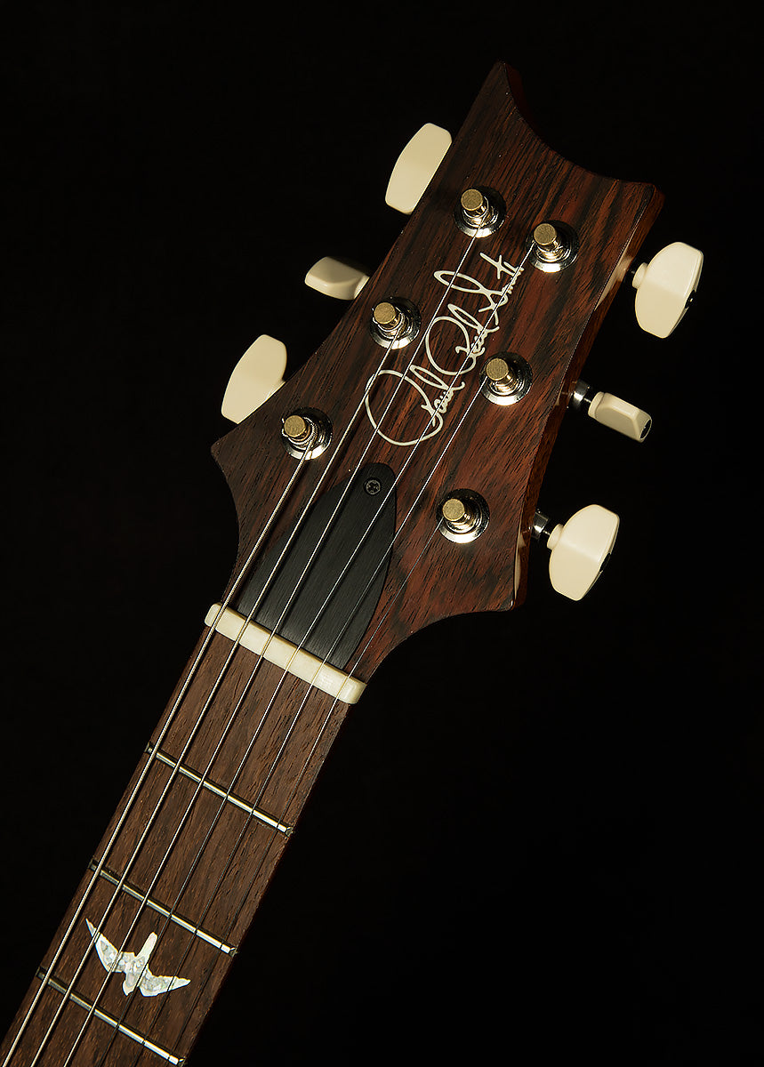 Wildwood Wood Library Paul's Guitar - Brazilian Rosewood