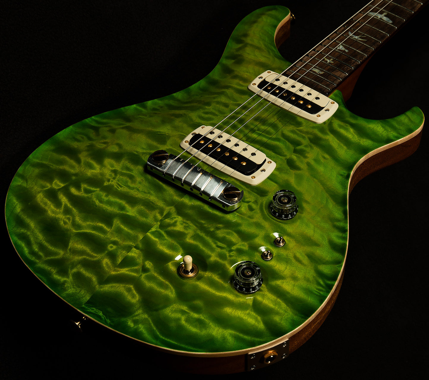 Wildwood Wood Library Paul's Guitar - Brazilian Rosewood