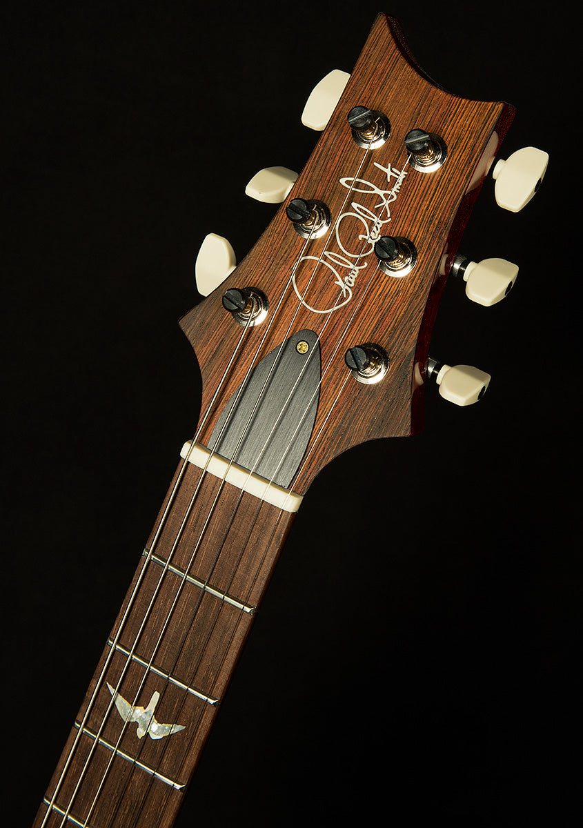Wildwood Wood Library Paul's Guitar - Brazilian Rosewood