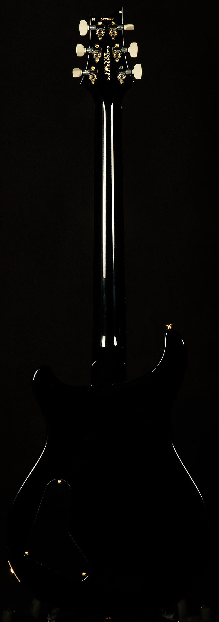 Wildwood Wood Library Paul's Guitar - Brazilian Rosewood