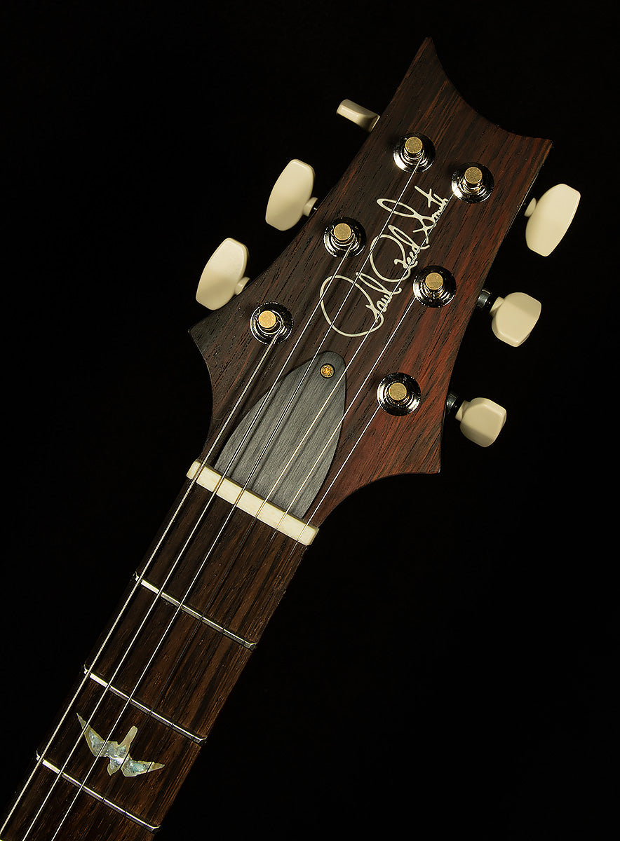 Wildwood Wood Library Paul's Guitar - Brazilian Rosewood