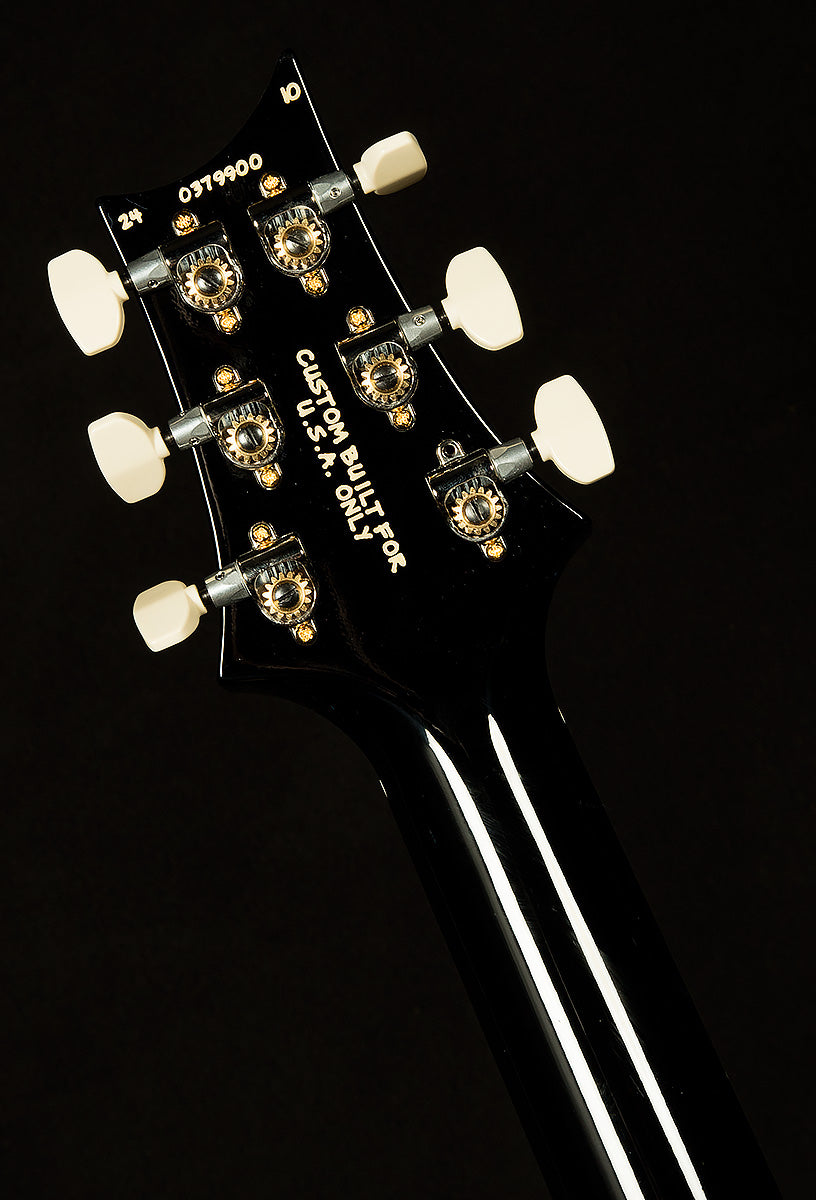 Wildwood Wood Library Paul's Guitar - Brazilian Rosewood