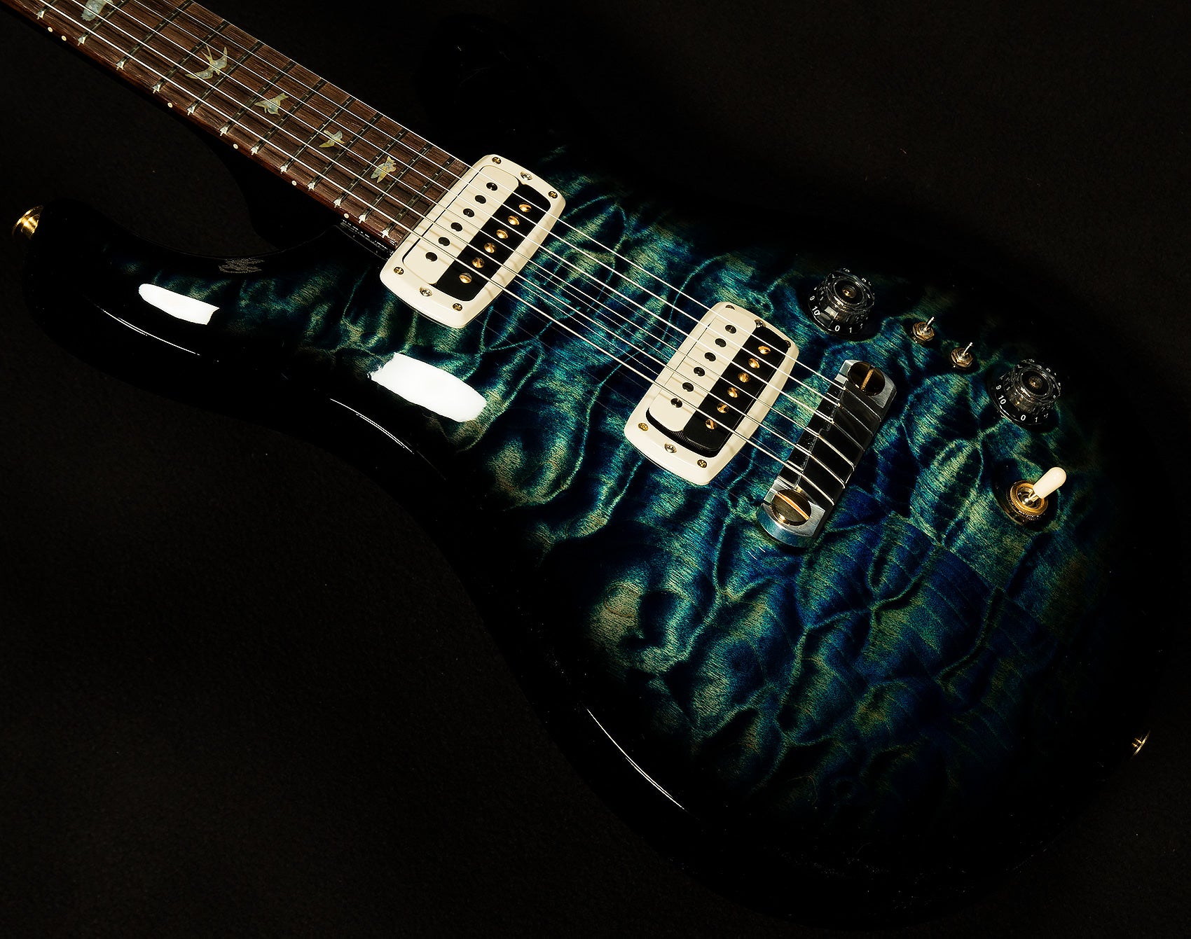 Wildwood Wood Library Paul's Guitar - Brazilian Rosewood