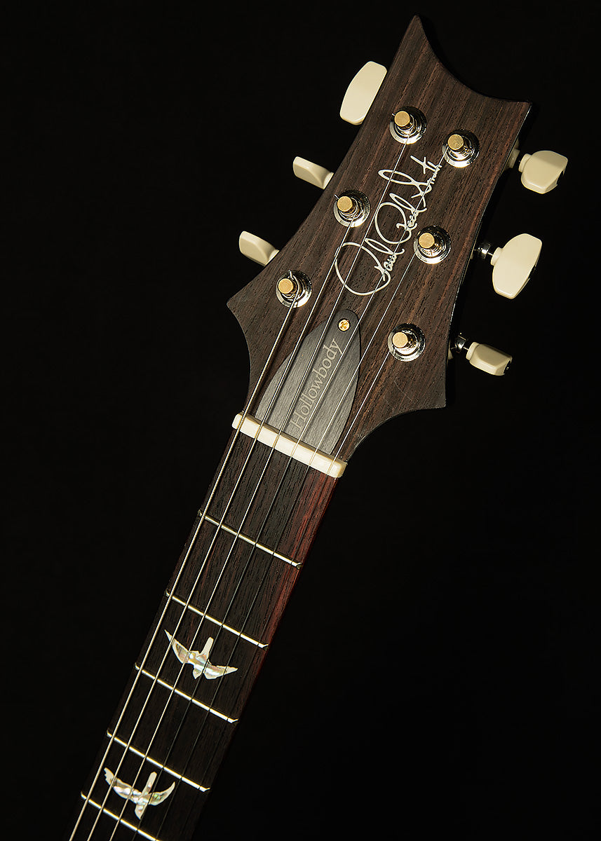 Hollowbody II Piezo - 10 Top