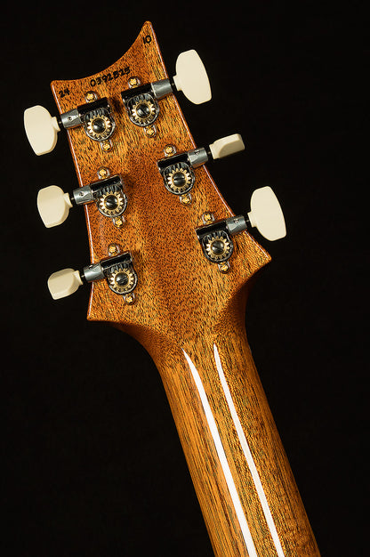 Hollowbody II Piezo - 10 Top