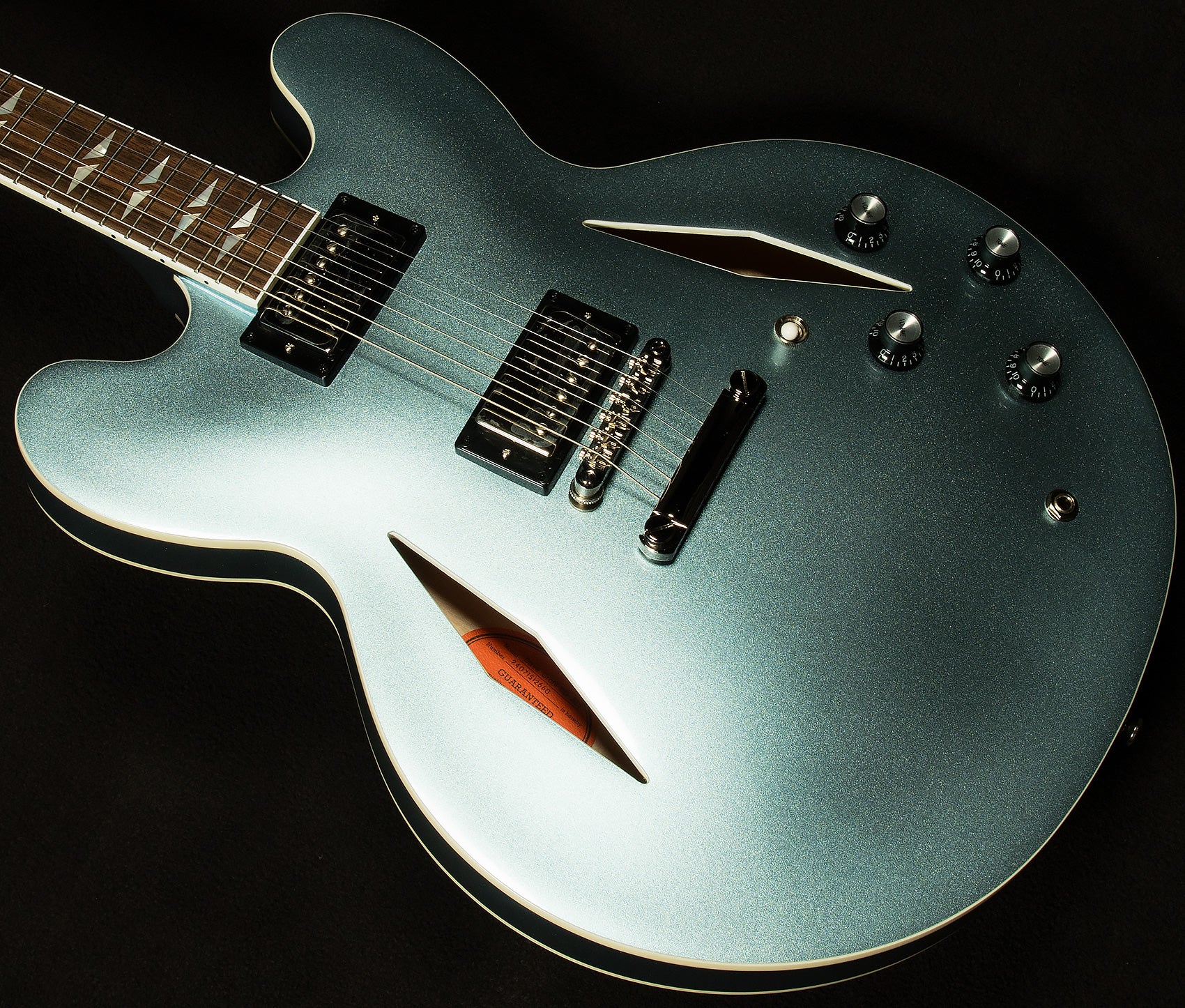 Dave Grohl DG-335 Semi-Hollowbody