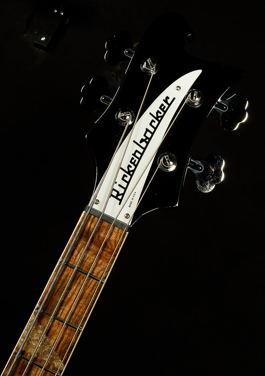 4005V Semi-Hollowbody Bass Reissue