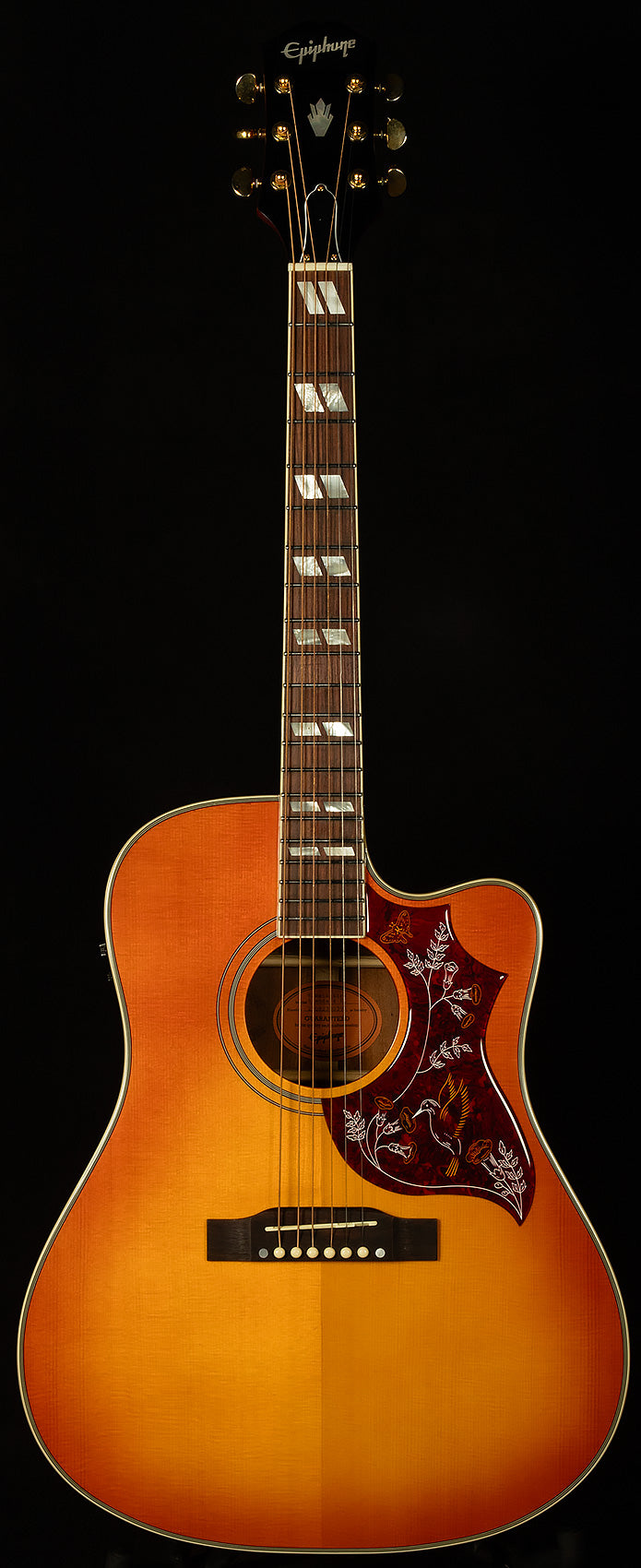 Inspired by Gibson Hummingbird Standard EC